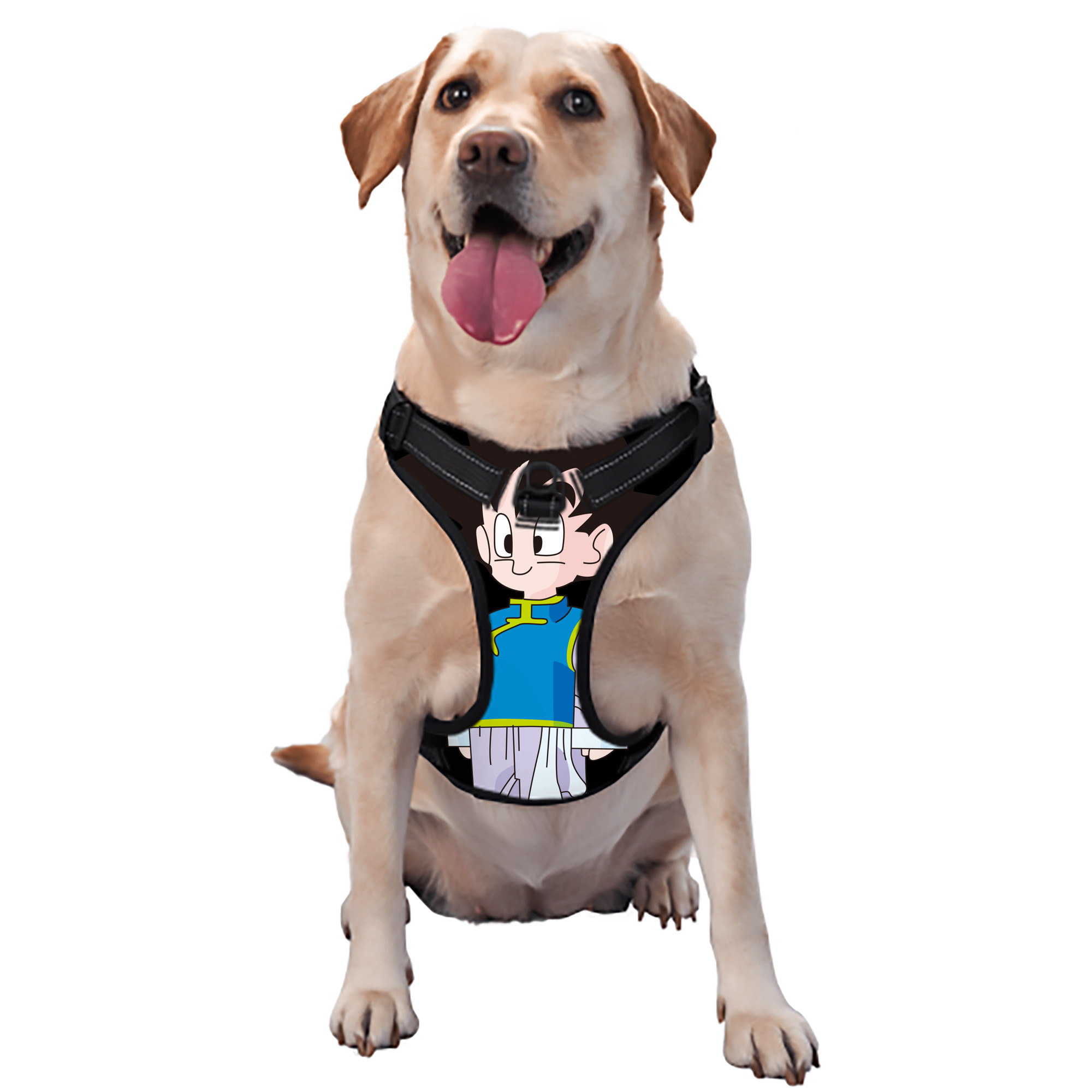 （画像用） ドラゴンボール 孫悟空（そん ごくう）Son Goku カカロット DRAGON BALL Kakarotto ペット用ハーネス